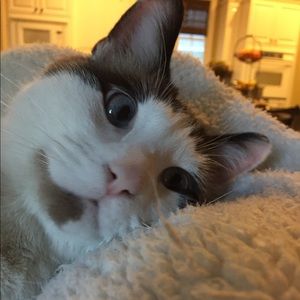 Meet your Posher, Anna